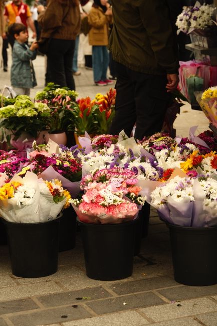 A display of numerous fresh flower bouquets arranged in black buckets on a paved street. The bouquets feature a vibrant mix of flowers including pink, white, purple, and yellow blooms, wrapped with pa
